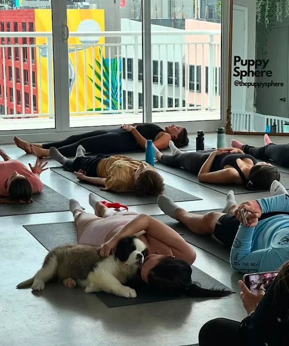 Puppy Sphere | Puppy Yoga (West Town) Picture 2