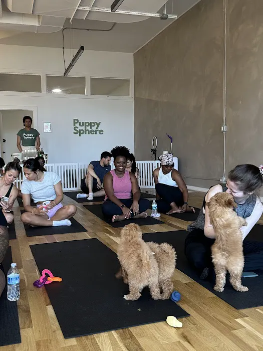 Puppy Sphere | Puppy Yoga (West Town) Picture 10