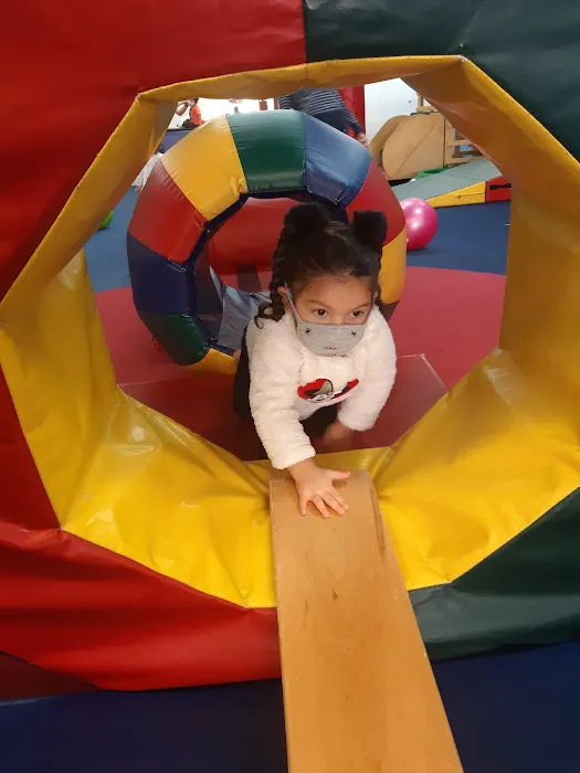 My Gym River Forest Picture 1