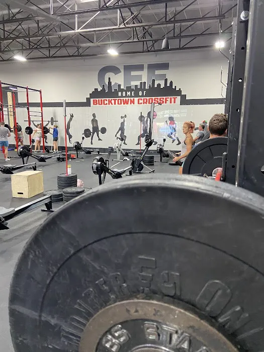 Chicago Elite Fitness - Home of Bucktown CrossFit Picture 7