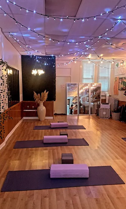 The Groove Chicago Picture 4