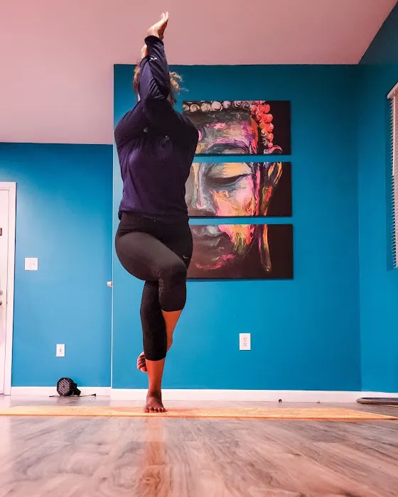 Zenergy Pole and Yoga Picture 5
