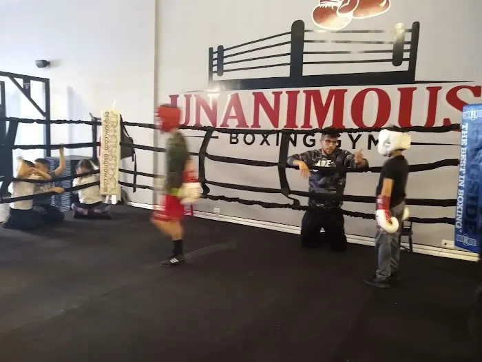Unanimous Boxing Gym Picture 4