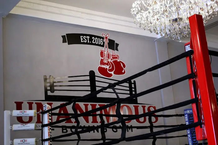 Unanimous Boxing Gym Picture 8
