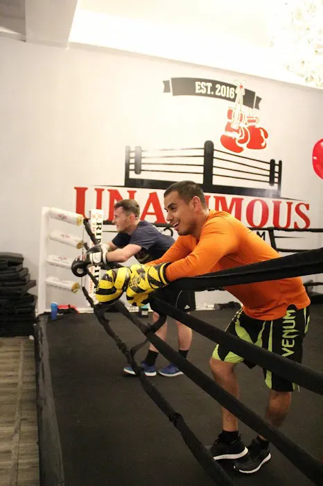 Unanimous Boxing Gym Picture 5