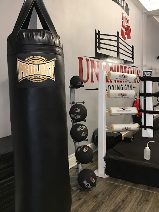 Unanimous Boxing Gym Picture 9