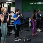 Fit Results Logan Square