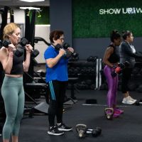 Fit Results Logan Square ico