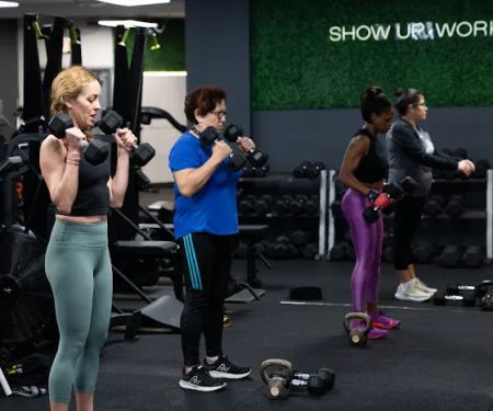 Fit Results Logan Square