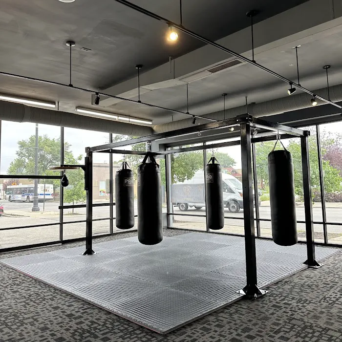 Majestic Fitness Chicago Picture 4