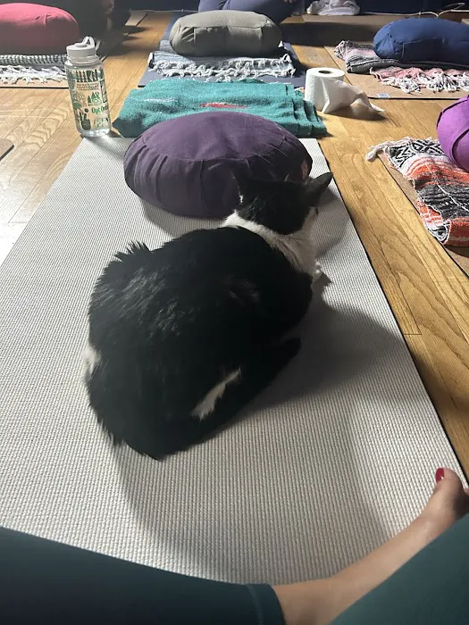 Illumine House of Yoga LLC Picture 1