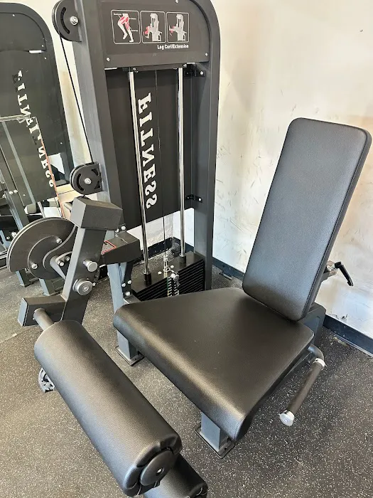 Bamn in Chicago Picture 1