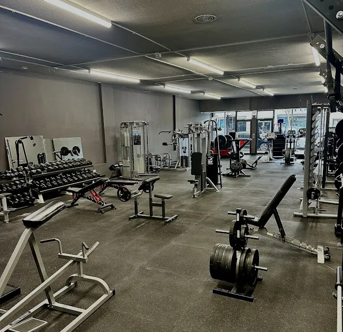 Bamn in Chicago Picture 3