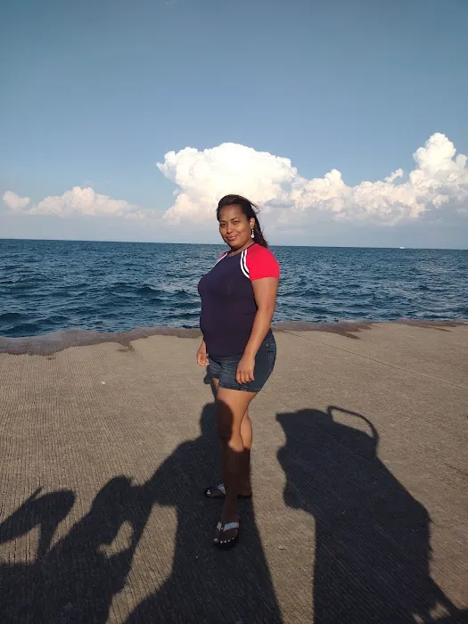 Bamn in Chicago Picture 5