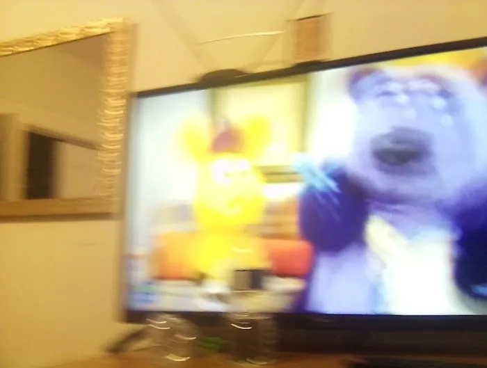 Bamn in Chicago Picture 4