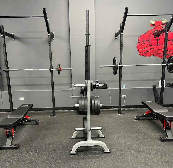 Bamn in Chicago Picture 6