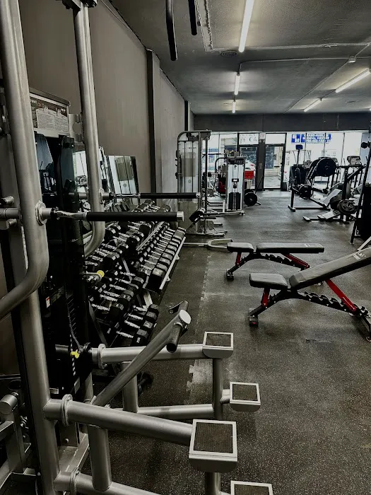 Bamn in Chicago Picture 9