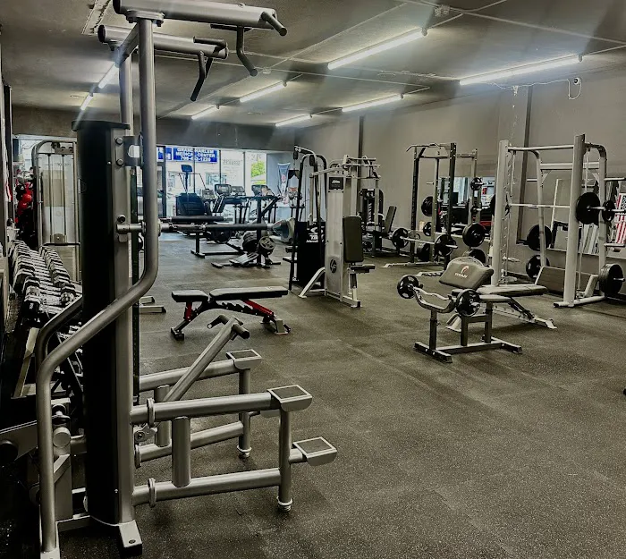 Bamn in Chicago Picture 8