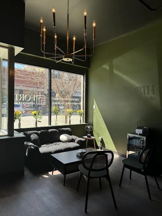 Forth® Studio Chicago - Yoga, Strength Training, Pilates, Breathwork, Meditation, Deep Stretch + Soundbath Picture 7