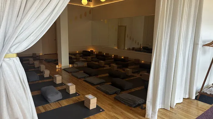 Ahimsa Yoga Studio Wicker Park Picture 3