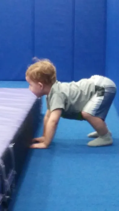 Veterans Park District Cimbalo Fitness Center Picture 4