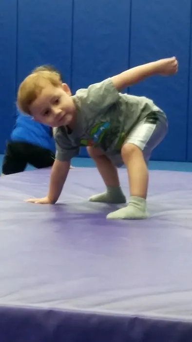 Veterans Park District Cimbalo Fitness Center Picture 3