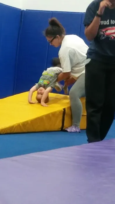 Veterans Park District Cimbalo Fitness Center Picture 2