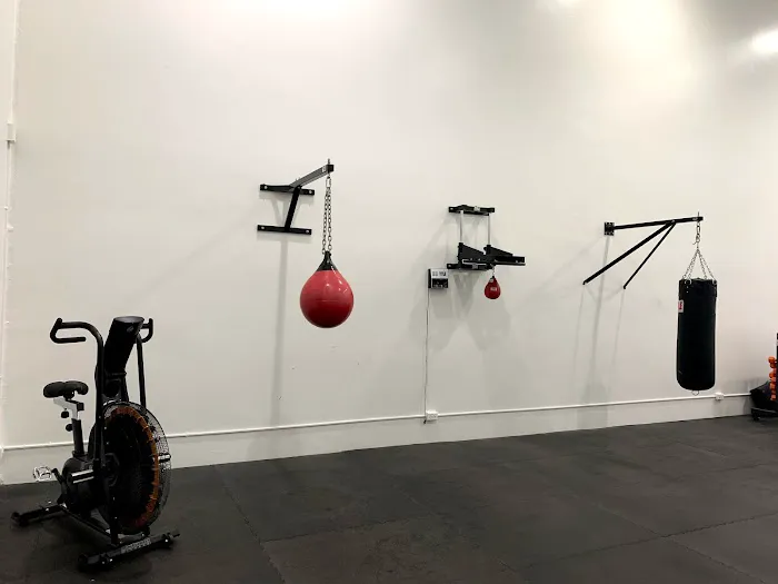 Michael Cimbalo Fitness Center and Museum Picture 8