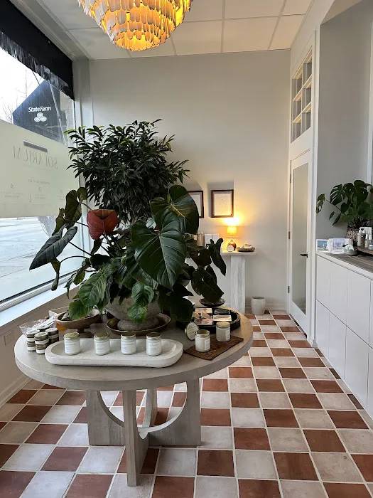 Solarium Elmhurst Picture 1