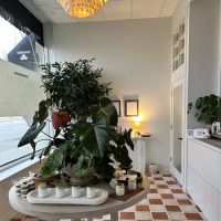 Solarium Elmhurst ico