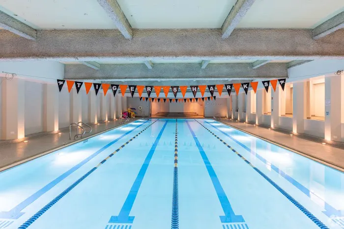 Oakbrook Terrace Tower Fitness Center Picture 3