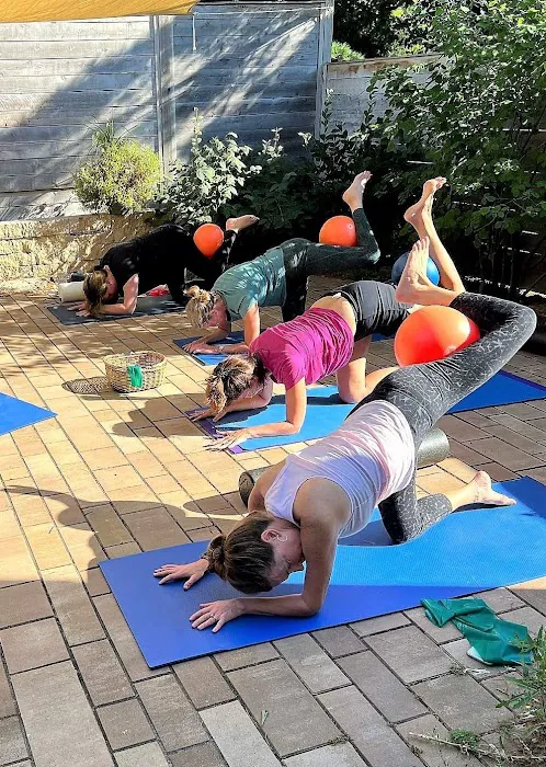 Flex Wellness - Activation & Pilates Picture 6