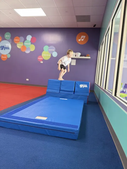 The Little Gym of Naperville Picture 2