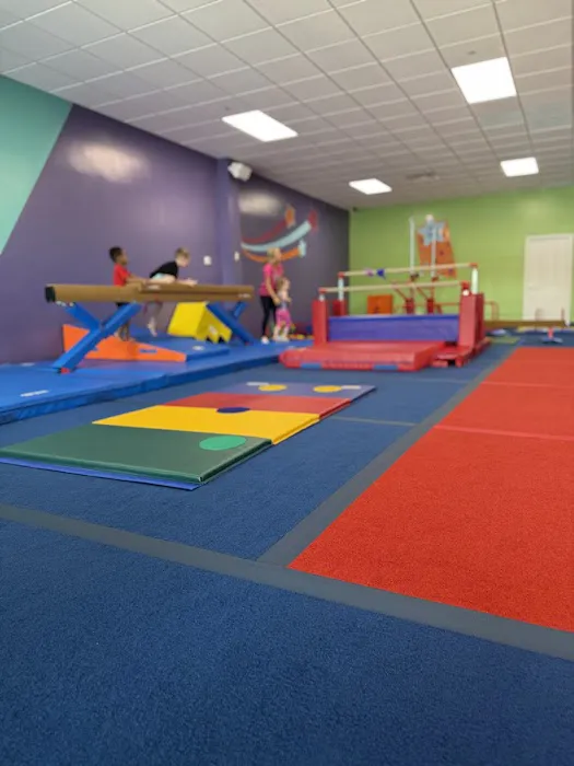 The Little Gym of Naperville Picture 1