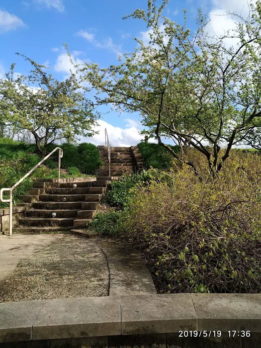 4500 Fitness & Downers Grove Park District Recreation Center Picture 8