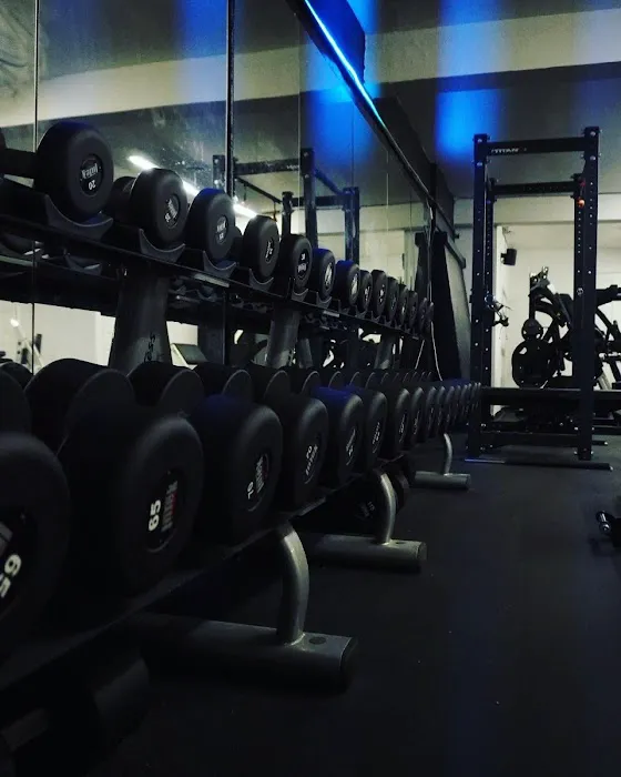 TFS Gym - Lisle Picture 4