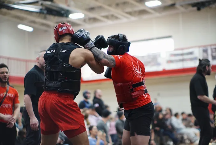 Phoenix Sports Empire Lisle Picture 5