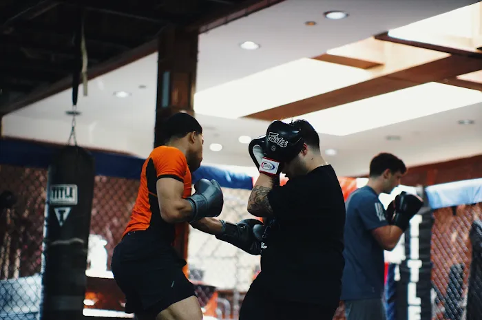 Phoenix Sports Empire Lisle Picture 2