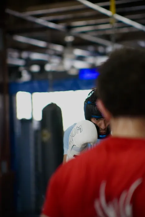 Phoenix Sports Empire Lisle Picture 4