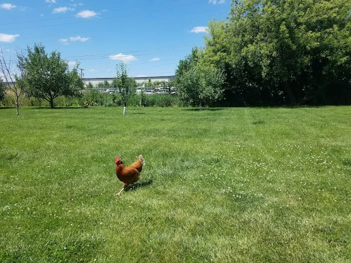 Jab Fitness Training Inc Picture 4