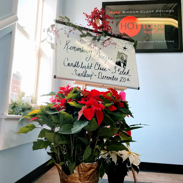 Hot Yoga Naperville Picture 9