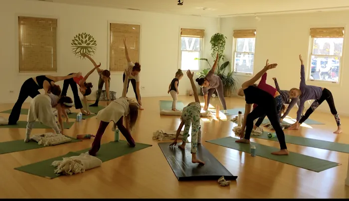 Just Be Yoga Studio Picture 9