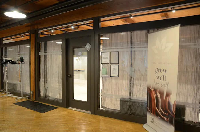 Grow Well Yoga + Barre + Fitness, Naperville, IL Picture 5