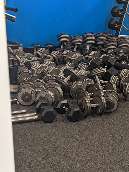 Fitness Premier Morris Picture 6