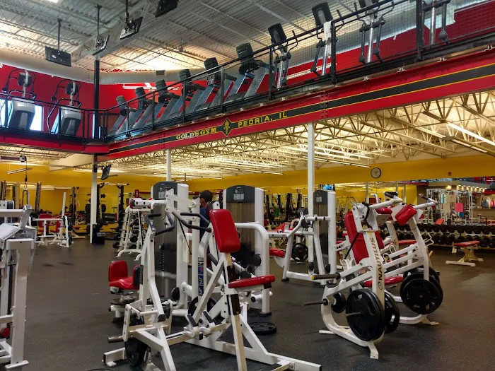 Gold's Gym Peoria Picture 5