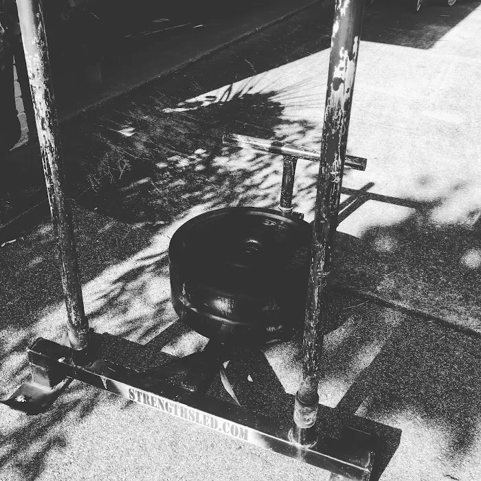 Freeman Fit Fam Picture 7