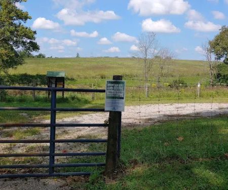 Life Adventure Center MTB trails