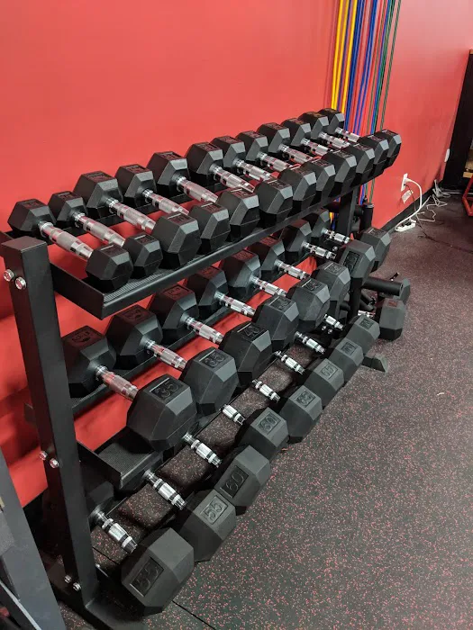 Iron Will Fitness Studio Picture 6