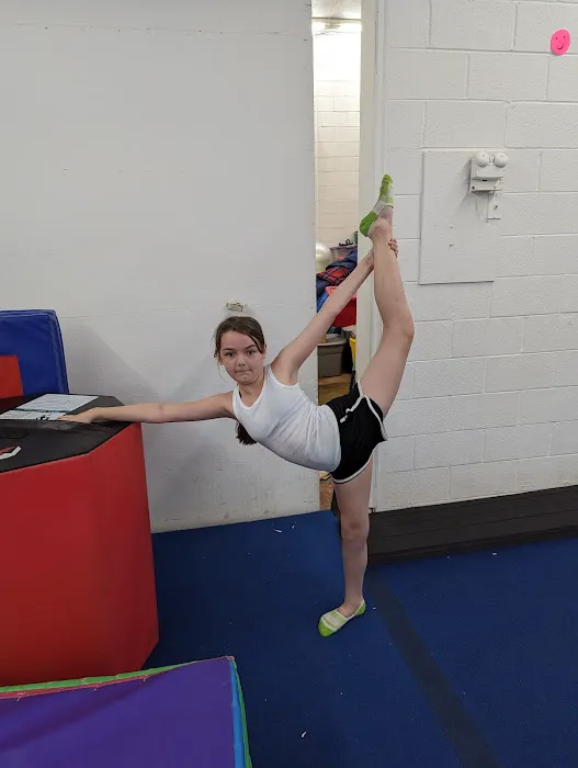 Lou's Academy & Training Center Picture 8