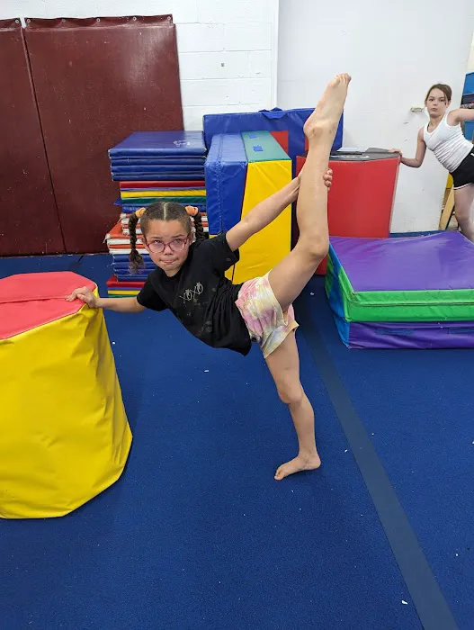 Lou's Academy & Training Center Picture 3